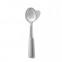 cuillere à service inox