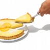 pele à tarte inox