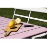 PLANCHE A POIGNEE